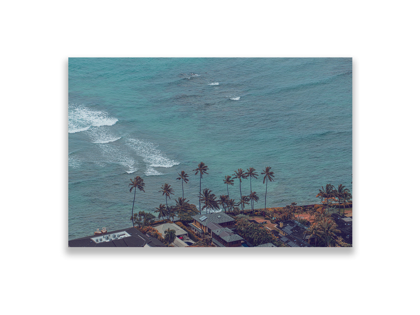 36x24SIZE_1.5MATTE_NOFRAME_9_DSC03806_GustavNel_TheHonoluluDream_DougFir_Hawaii2017Oahu_58acc3a4-f09c-4216-8d02-cf47bdd53d97