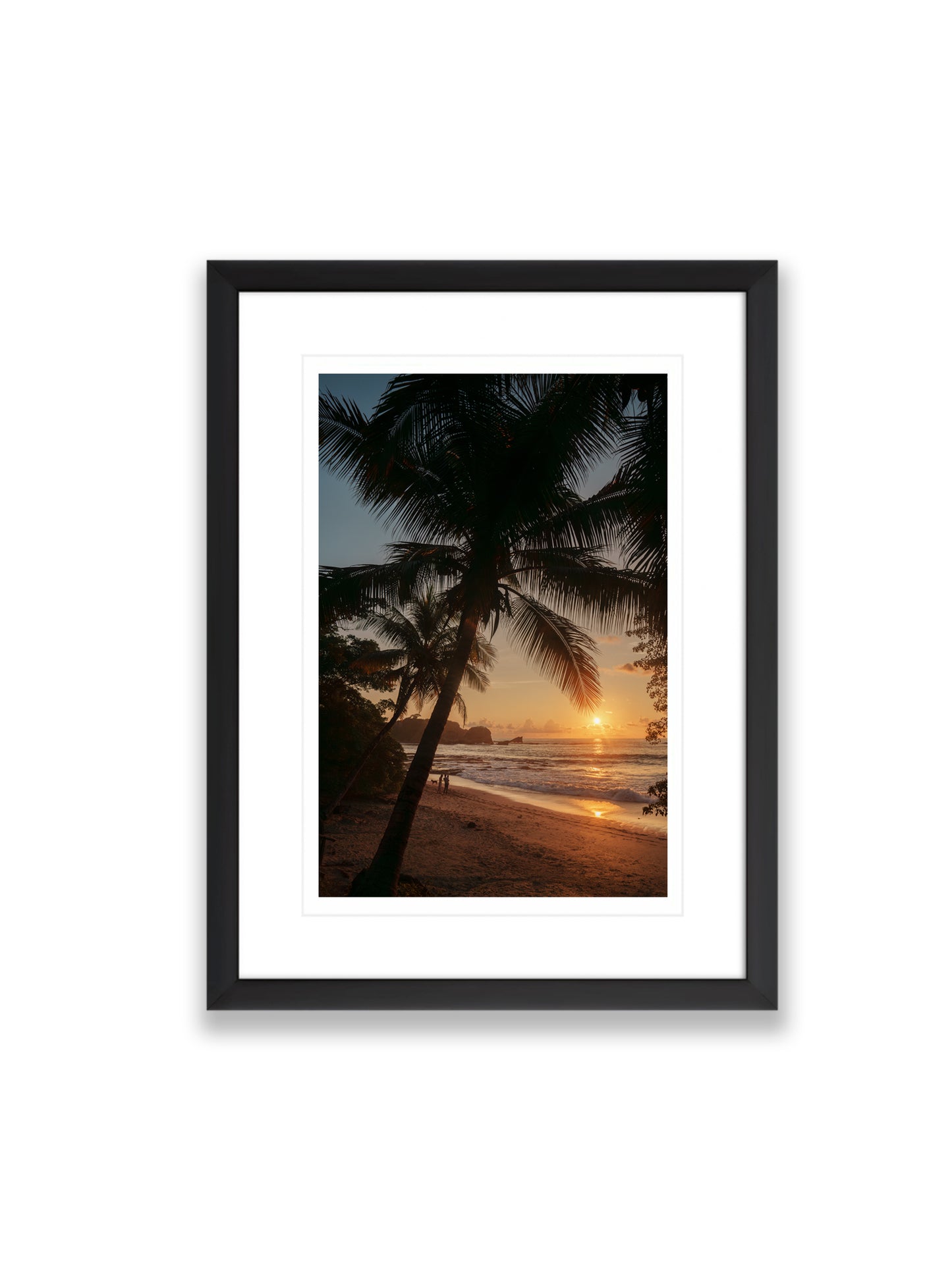 12x18SIZE_1.5MATTE_1.5FRAME_DSC2536_GustavNel_LunaSunset_DougFir_CostaRica2023