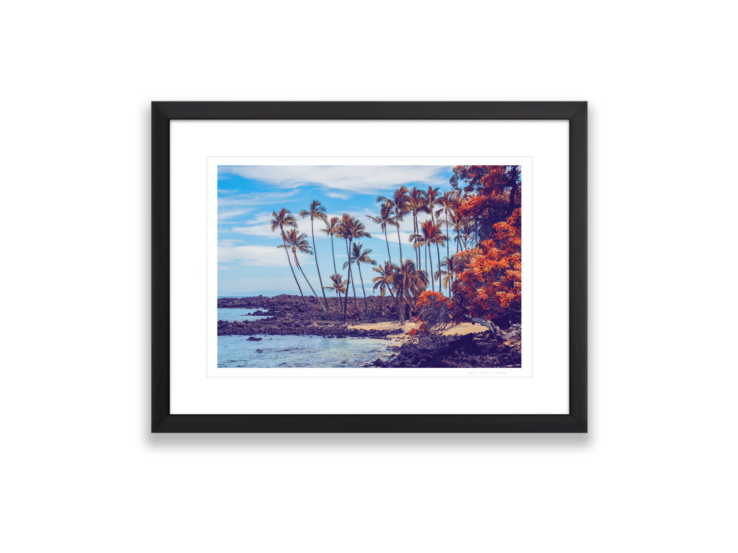 12x18SIZE_1.5MATTE_1.5FRAME_DSC7588_GustavNel_Makolea_DougFirOptima_BigIslandHawaii2024
