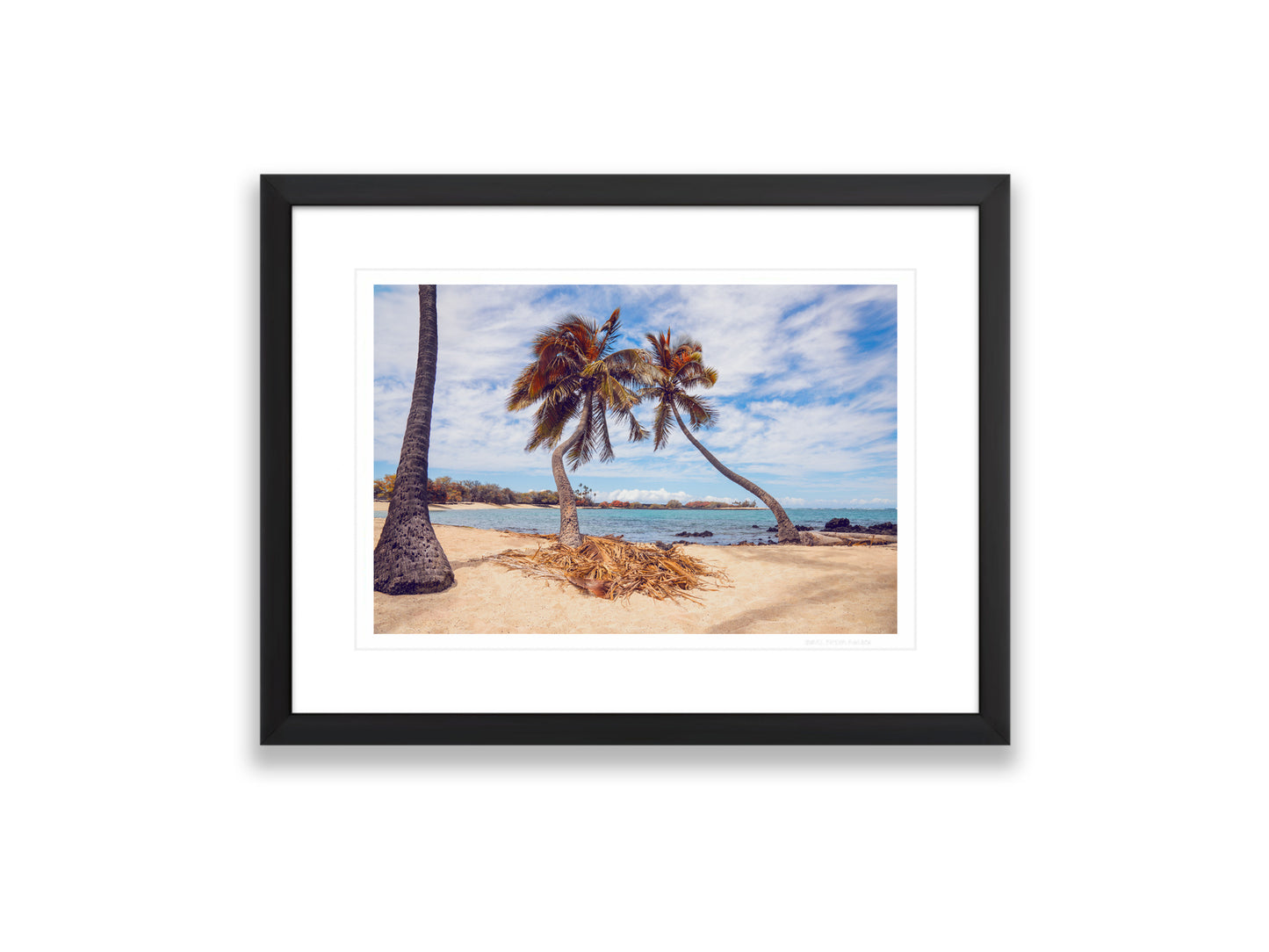 12x18SIZE_1.5MATTE_1.5FRAME_DSC7645_GustavNel_LeaningPalms_DougFirOptima_BigIslandHawaii2024