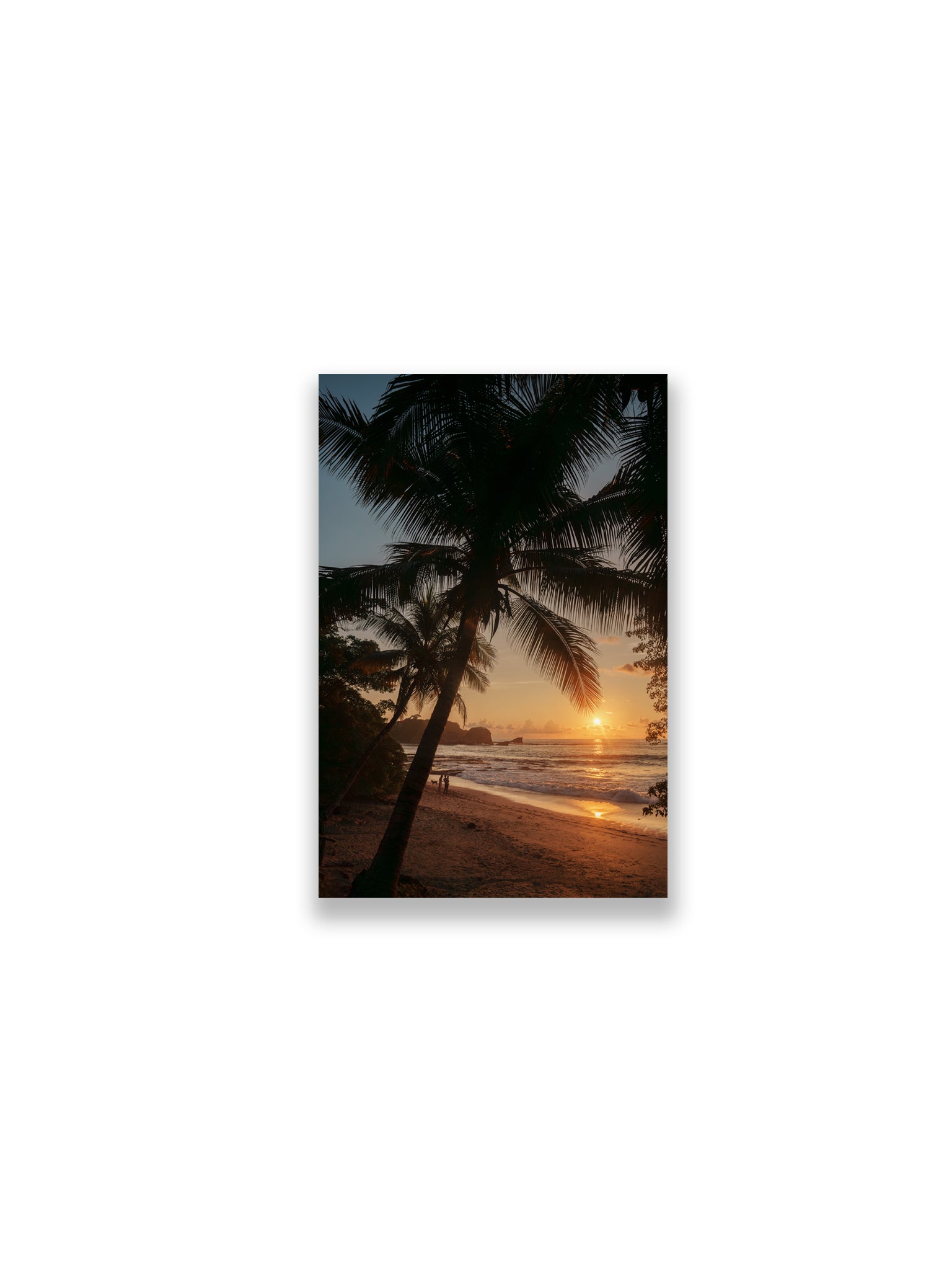 12x18SIZE_1.5MATTE_NOFRAME_DSC2536_GustavNel_LunaSunset_DougFir_CostaRica2023