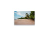 12x18SIZE_1.5MATTE_NOFRAME_DSC259_GustavNel_LunaBeach_DougFir_CostaRica2023