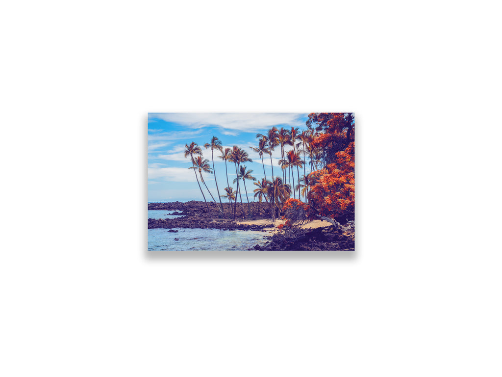 12x18SIZE_1.5MATTE_NOFRAME_DSC7588_GustavNel_Makolea_DougFirOptima_BigIslandHawaii2024