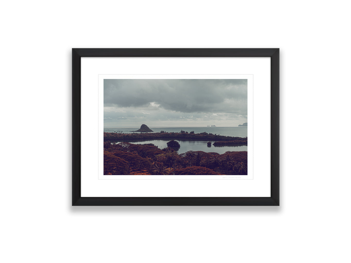 18X12SIZE_1.75MATTE_1FRAME_2_DSC04035_GustavNel_Mokoli_iTail_DougFir_Hawaii2017Oahu_3d180e52-848f-4d22-aeba-66e175c628d7