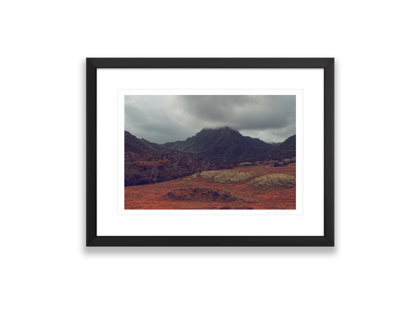 18X12SIZE_1.75MATTE_1FRAME_3_DSC04035_GustavNel_VerdantValley_DougFir_Hawaii2017Oahu_cabafc06-3d44-4821-af21-6fab335af0ce