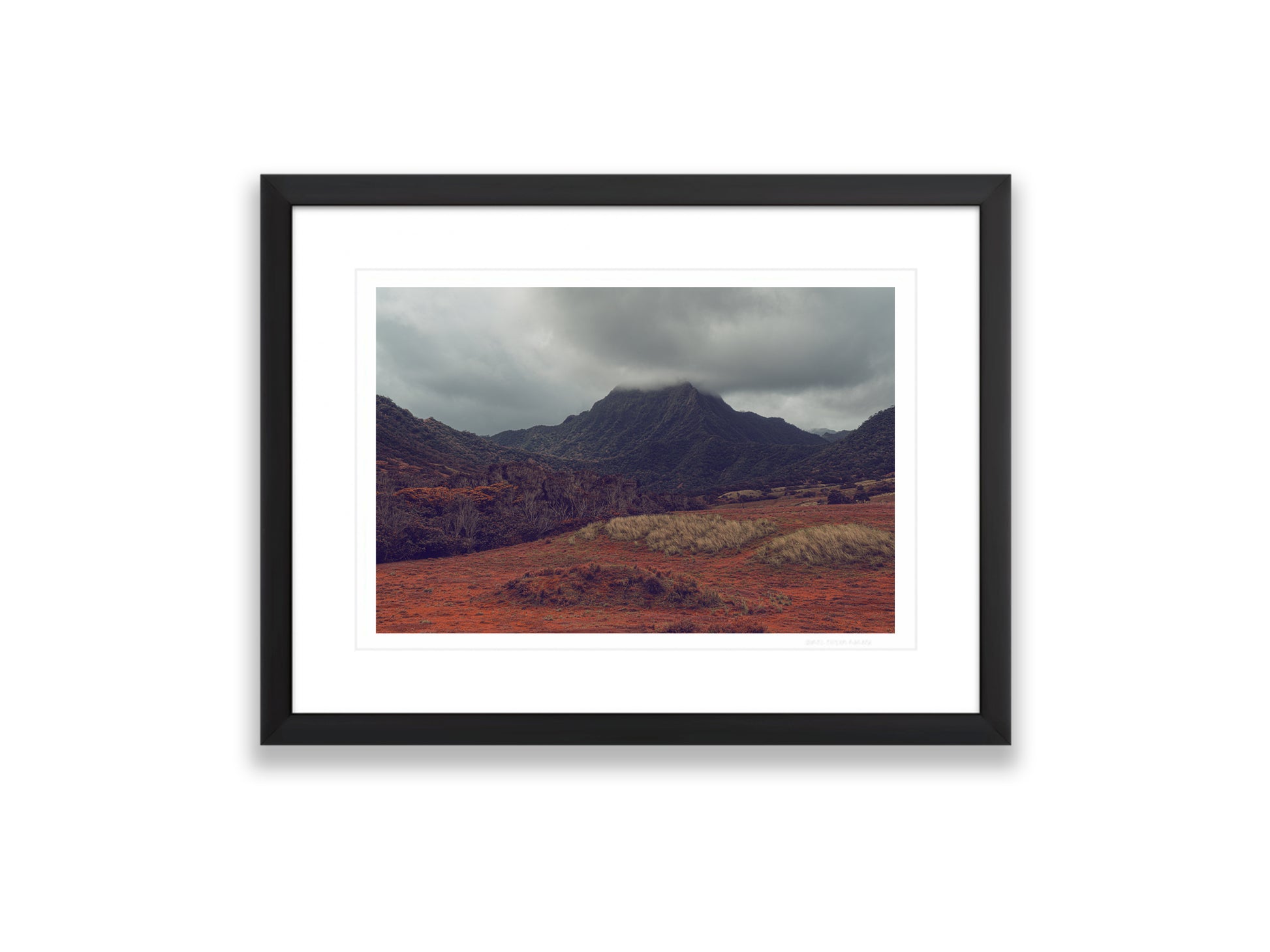 18X12SIZE_1.75MATTE_1FRAME_3_DSC04035_GustavNel_VerdantValley_DougFir_Hawaii2017Oahu_cabafc06-3d44-4821-af21-6fab335af0ce