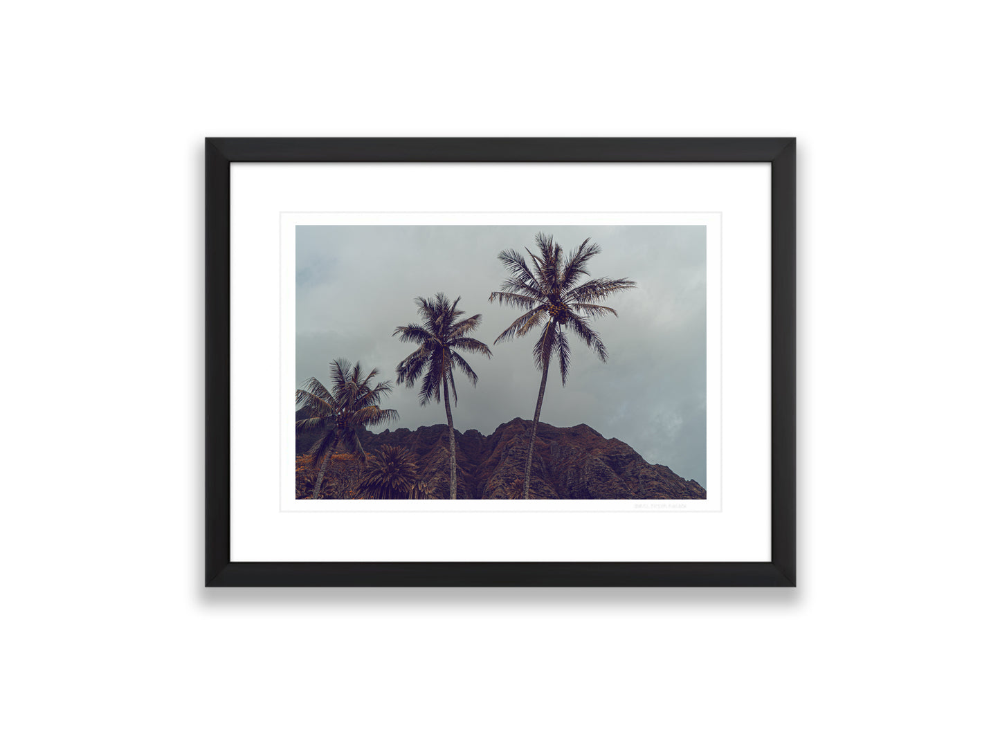 18X12SIZE_1.75MATTE_1FRAME_4_DSC03829_GustavNel_HillsHavePalms_DougFir_Hawaii2017Oahu_54a4277e-896b-4c0c-833f-2ddcfd55663f