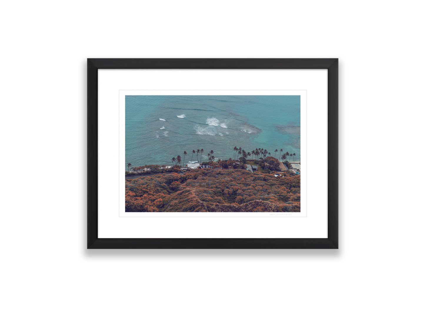 18X12SIZE_1.75MATTE_1FRAME_8_DSC03818_GustavNel_PacificLiving_DougFir_Hawaii2017Oahu_5ef5e80b-f5ee-4518-888a-beb5730e87de