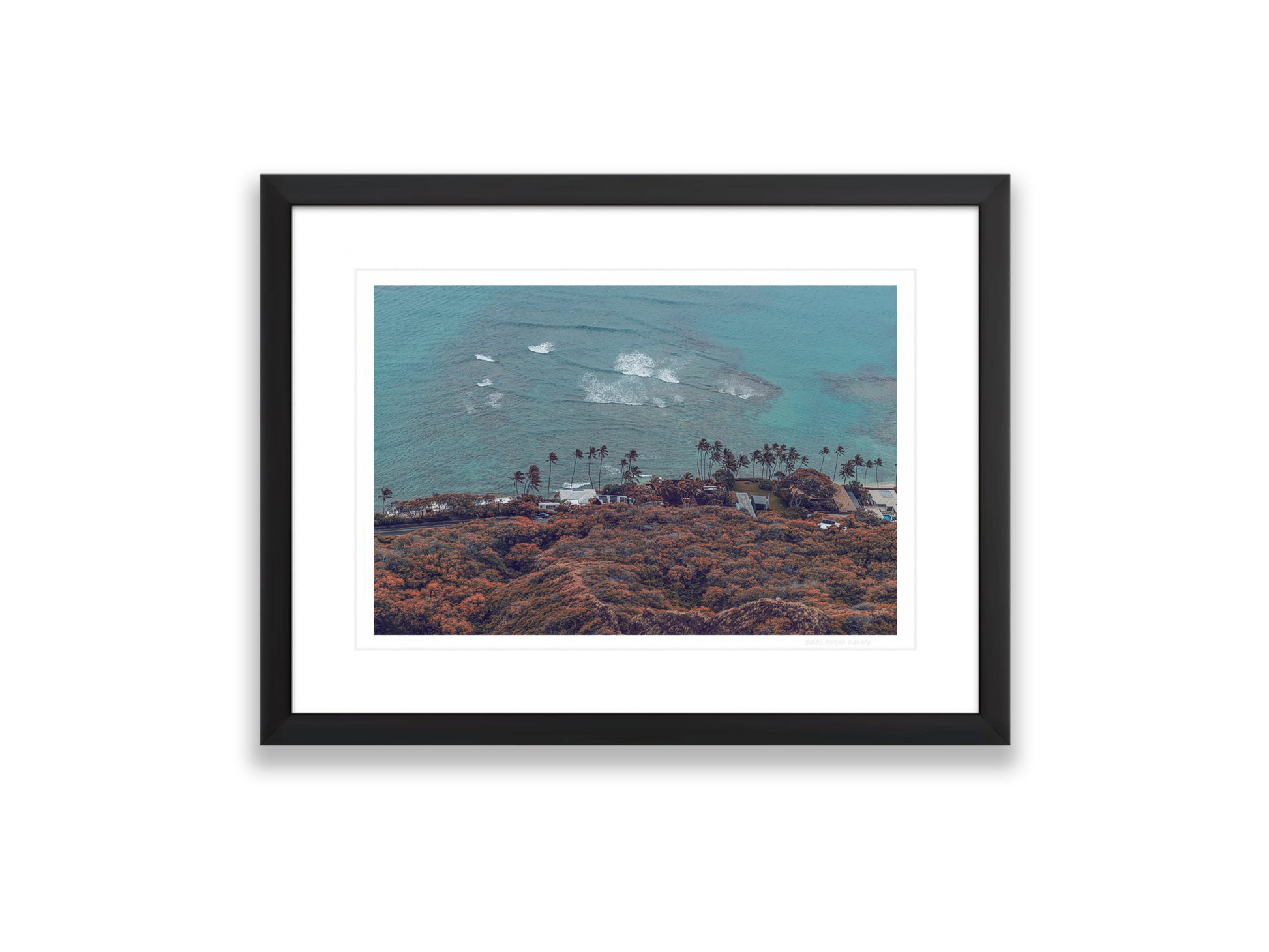 18X12SIZE_1.75MATTE_1FRAME_8_DSC03818_GustavNel_PacificLiving_DougFir_Hawaii2017Oahu_5ef5e80b-f5ee-4518-888a-beb5730e87de