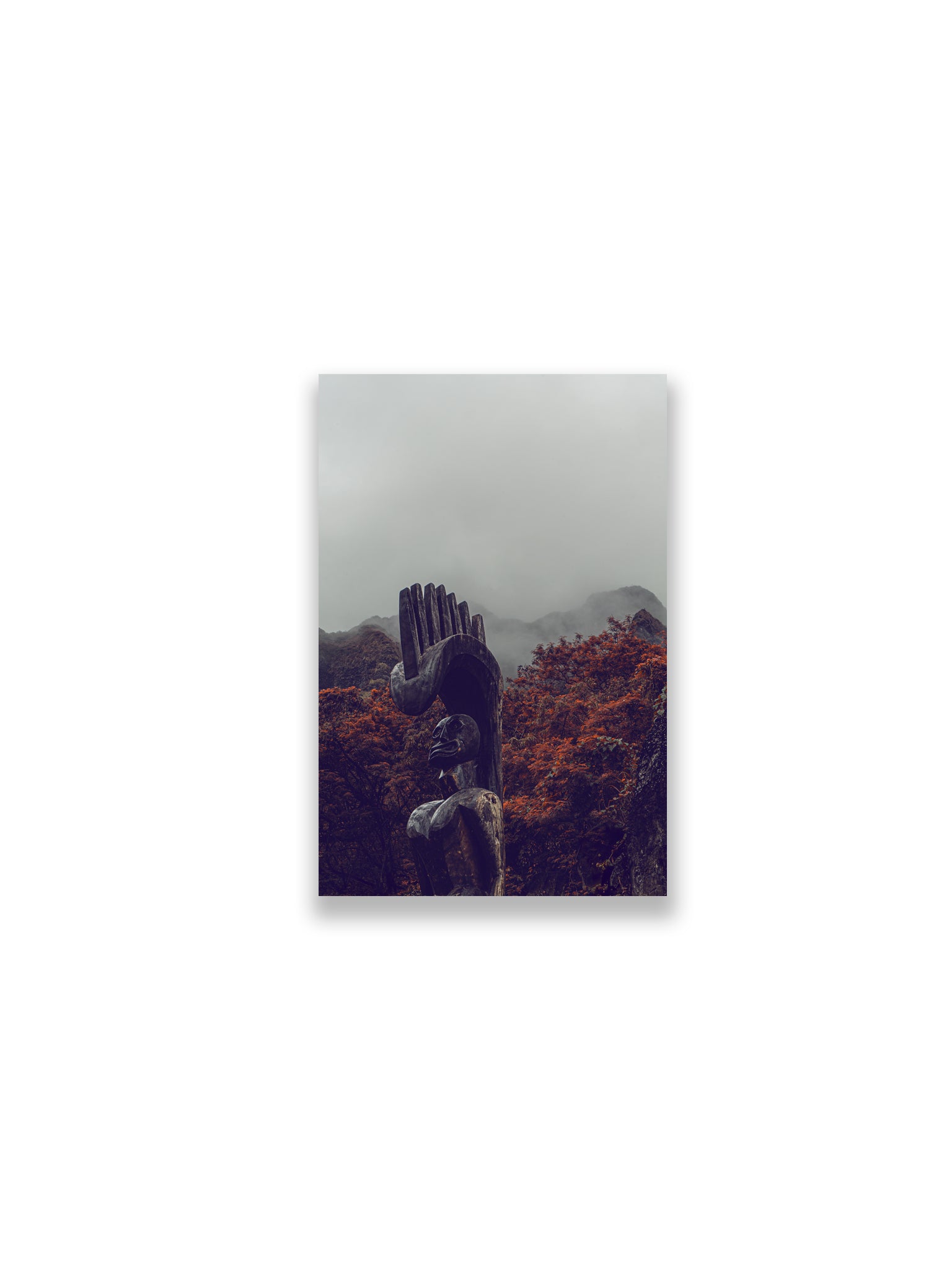 18X12SIZE_1.75MATTE_NOFRAME_1_DSC04014_GustavNel_Lono_DougFir_Hawaii2017Oahu_eac89ce3-8139-4f55-8038-5877ede77c4f