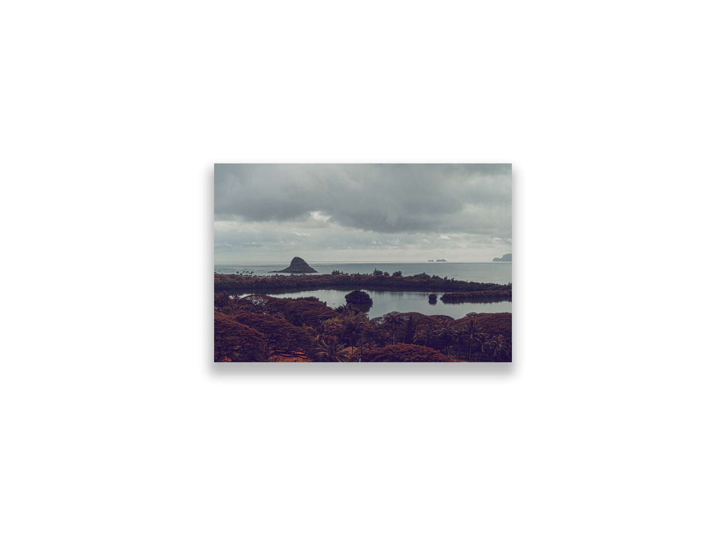 18X12SIZE_1.75MATTE_NOFRAME_2_DSC04035_GustavNel_Mokoli_iTail_DougFir_Hawaii2017Oahu_5dd822aa-b2b0-4693-b55d-3a689547b03e