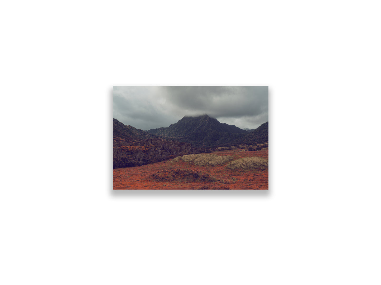 18X12SIZE_1.75MATTE_NOFRAME_3_DSC04035_GustavNel_VerdantValley_DougFir_Hawaii2017Oahu_23f5bc5f-7254-414c-9825-2e06a4b62141