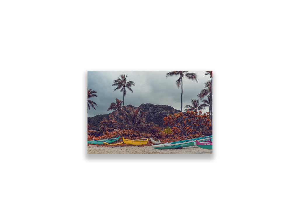 18X12SIZE_1.75MATTE_NOFRAME_7_DSC03843_GustavNel_FourWa_a_DougFir_Hawaii2017Oahu