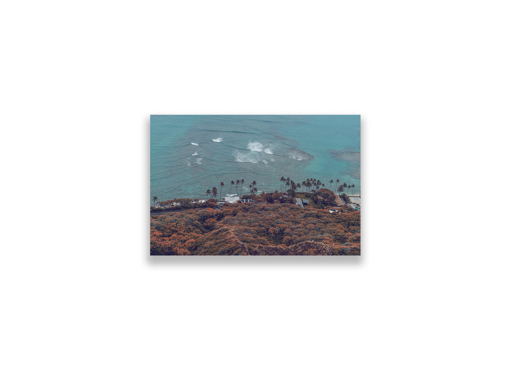 18X12SIZE_1.75MATTE_NOFRAME_8_DSC03818_GustavNel_PacificLiving_DougFir_Hawaii2017Oahu_27f59305-a299-4c84-aabc-803087293874