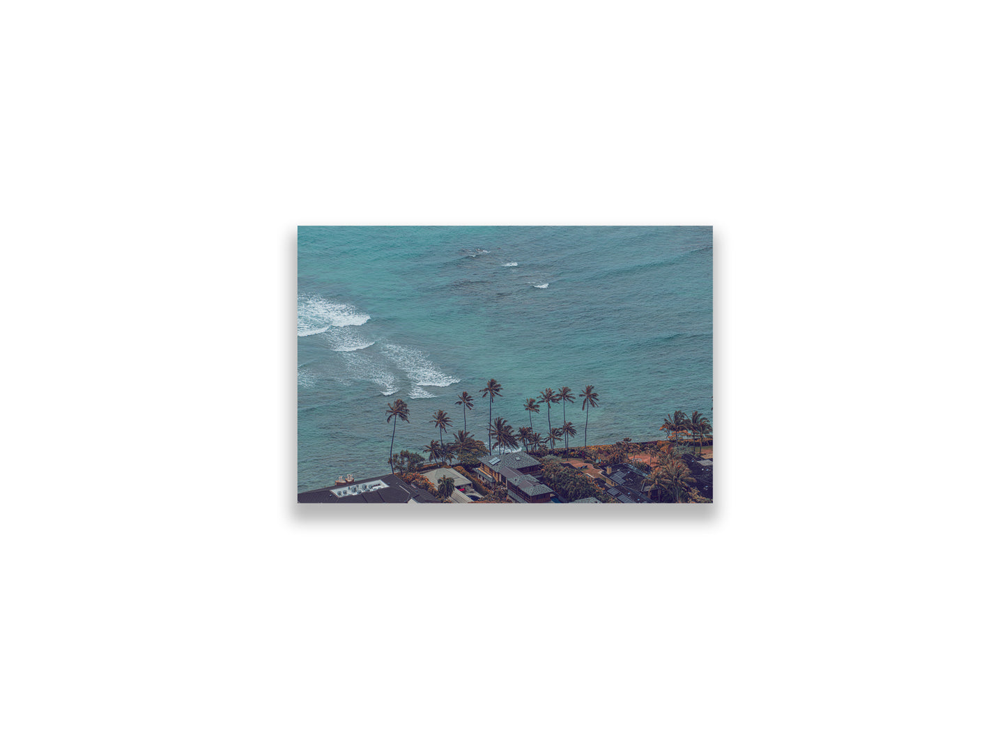 18X12SIZE_1.75MATTE_NOFRAME_9_DSC03806_GustavNel_TheHonoluluDream_DougFir_Hawaii2017Oahu_dcf8d200-c74f-4034-a8d5-bfa2e473b20d