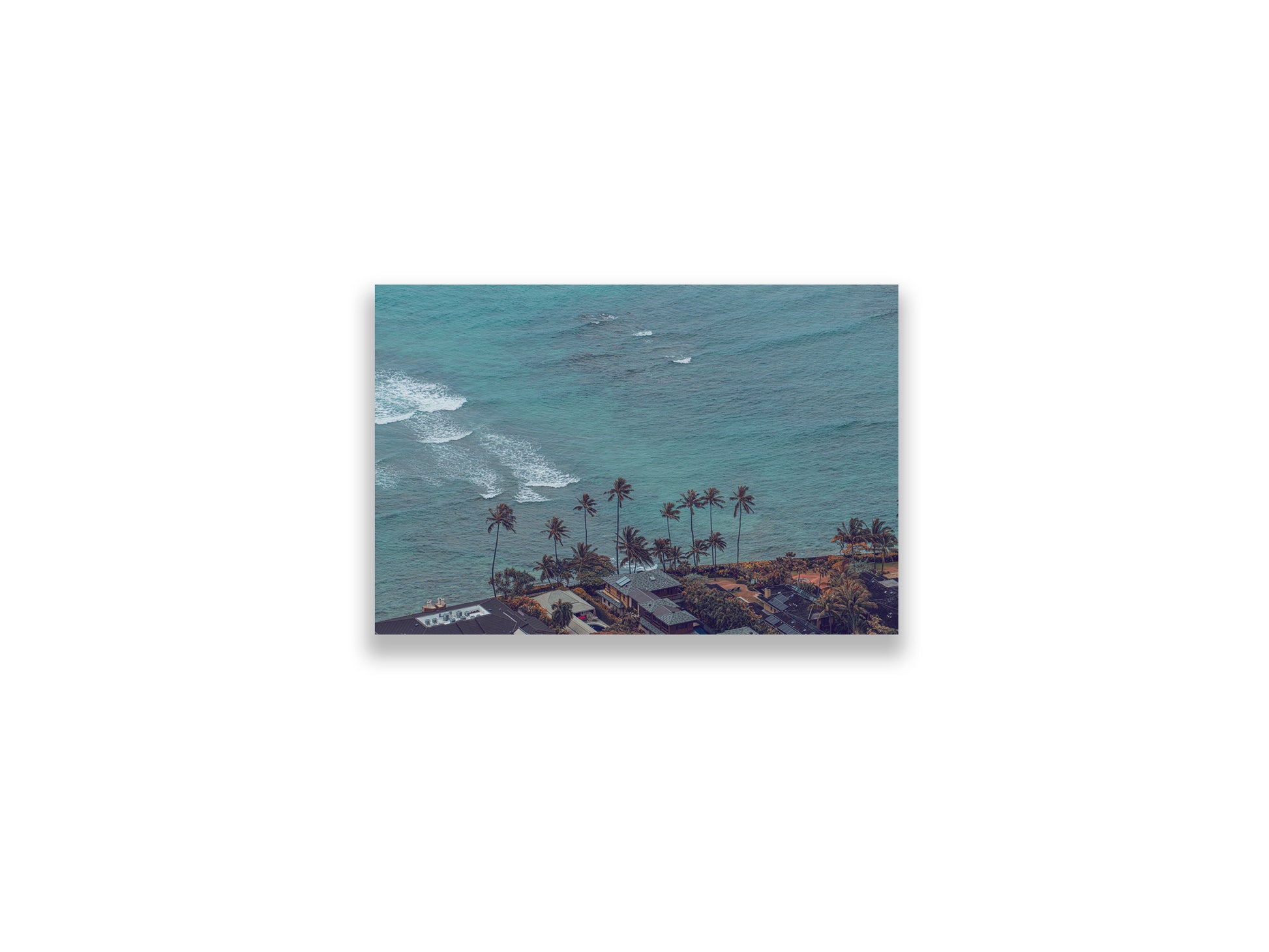 18X12SIZE_1.75MATTE_NOFRAME_9_DSC03806_GustavNel_TheHonoluluDream_DougFir_Hawaii2017Oahu_dcf8d200-c74f-4034-a8d5-bfa2e473b20d