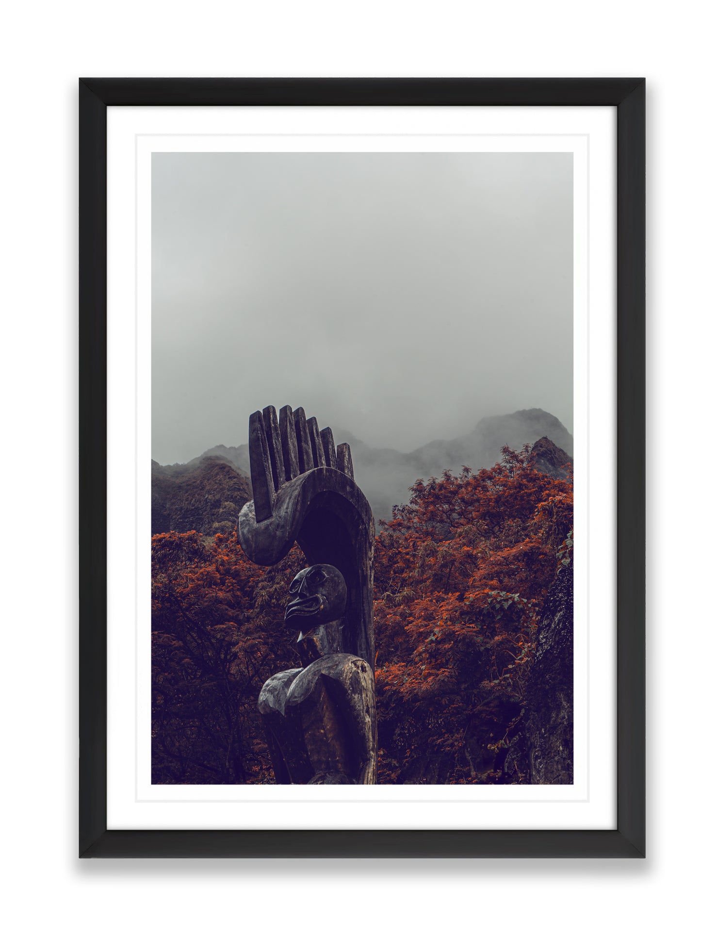 36x24SIZE_1.5MATTE_1.5FRAME_1_DSC04014_GustavNel_Lono_DougFir_Hawaii2017Oahu_24d59766-4c59-48bf-abad-3e44d7107bd4