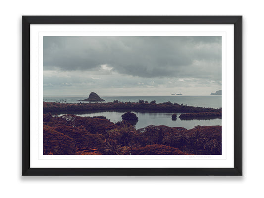 36x24SIZE_1.5MATTE_1.5FRAME_2_DSC04035_GustavNel_Mokoli_iTail_DougFir_Hawaii2017Oahu_4647d44f-ffff-4914-98f5-f68d8e333870