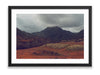 36x24SIZE_1.5MATTE_1.5FRAME_3_DSC04035_GustavNel_VerdantValley_DougFir_Hawaii2017Oahu_bd56e5c5-7d3f-4de9-8410-08e592c1ca95