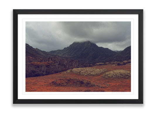 36x24SIZE_1.5MATTE_1.5FRAME_3_DSC04035_GustavNel_VerdantValley_DougFir_Hawaii2017Oahu_bd56e5c5-7d3f-4de9-8410-08e592c1ca95