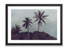 36x24SIZE_1.5MATTE_1.5FRAME_4_DSC03829_GustavNel_HillsHavePalms_DougFir_Hawaii2017Oahu_9febda54-669f-493a-8820-b698c215cf4f