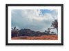 36x24SIZE_1.5MATTE_1.5FRAME_5_DSC03829_GustavNel_TwoLittleBirdsAndAPillox_DougFir_Hawaii2017Oahu_28fffe03-f951-4e07-b0b4-1a32cbd2727a