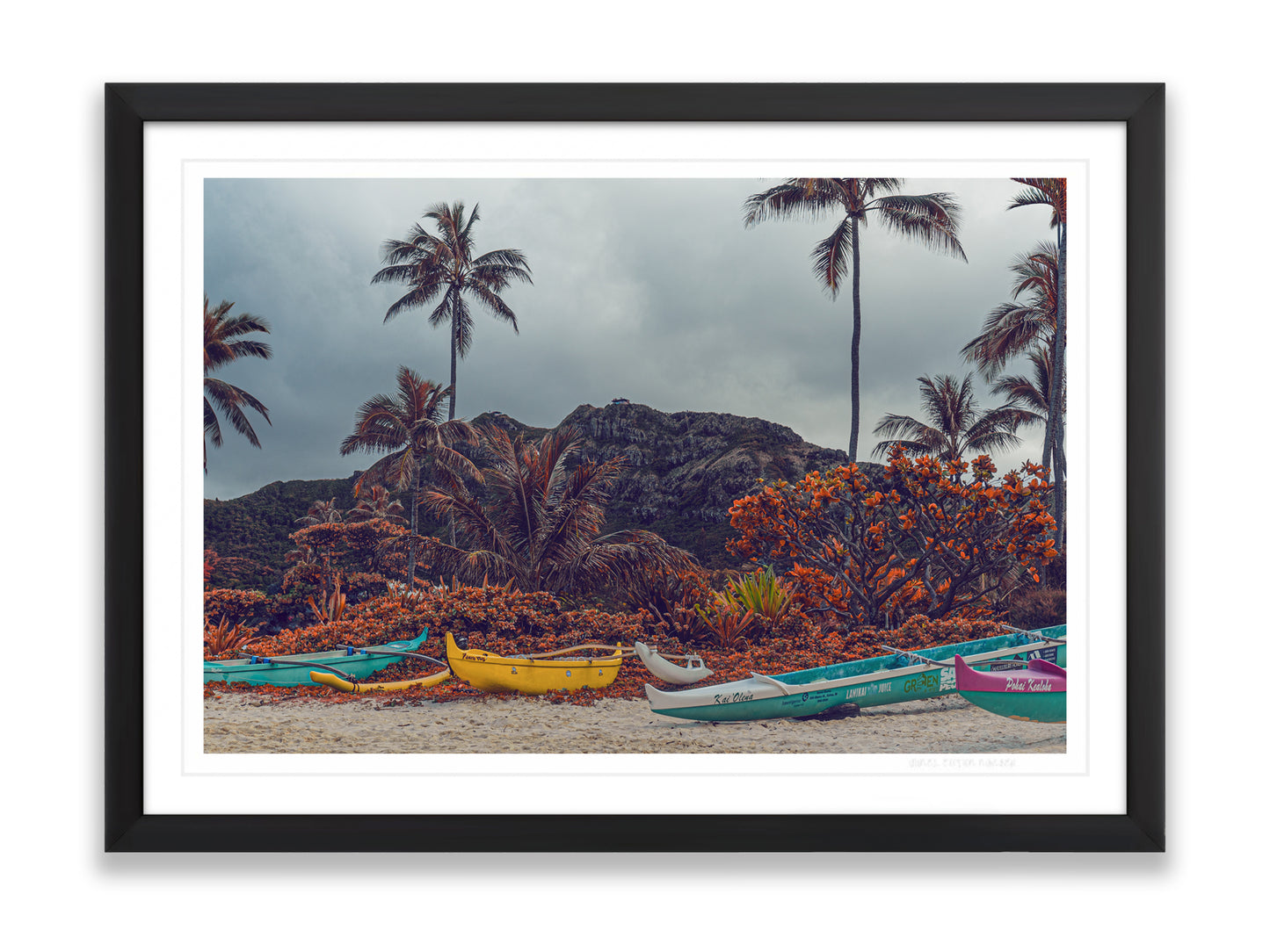 36x24SIZE_1.5MATTE_1.5FRAME_7_DSC03843_GustavNel_FourWa_a_DougFir_Hawaii2017Oahu_bc3d5c36-827e-4a0c-a387-6e1098a495fd