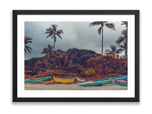 36x24SIZE_1.5MATTE_1.5FRAME_7_DSC03843_GustavNel_FourWa_a_DougFir_Hawaii2017Oahu_bc3d5c36-827e-4a0c-a387-6e1098a495fd
