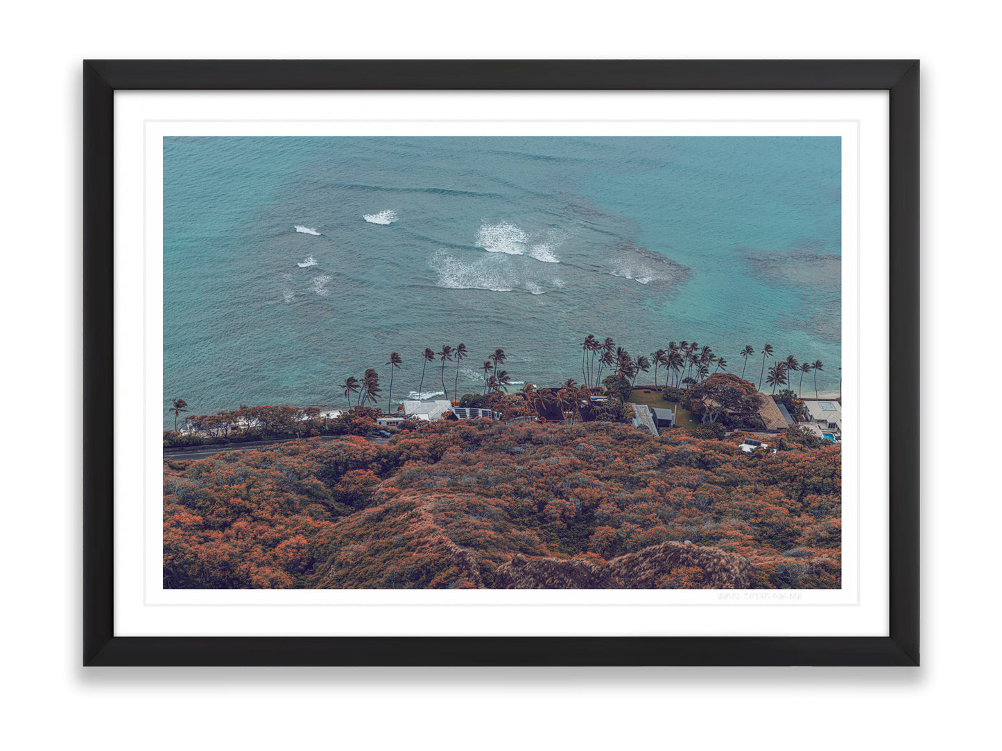 36x24SIZE_1.5MATTE_1.5FRAME_8_DSC03818_GustavNel_PacificLiving_DougFir_Hawaii2017Oahu_cb225fe5-4f4b-40f8-aba1-c2902cc6067c
