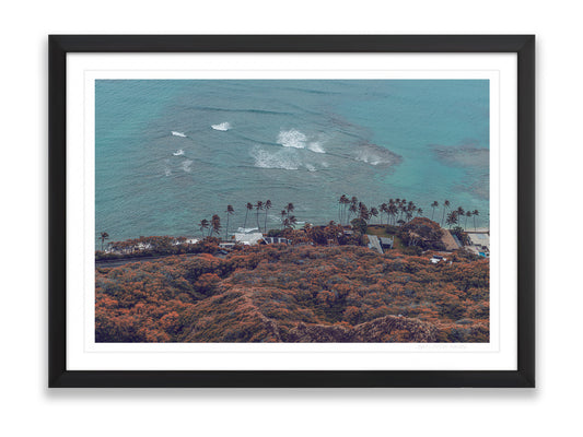 36x24SIZE_1.5MATTE_1.5FRAME_8_DSC03818_GustavNel_PacificLiving_DougFir_Hawaii2017Oahu_cb225fe5-4f4b-40f8-aba1-c2902cc6067c