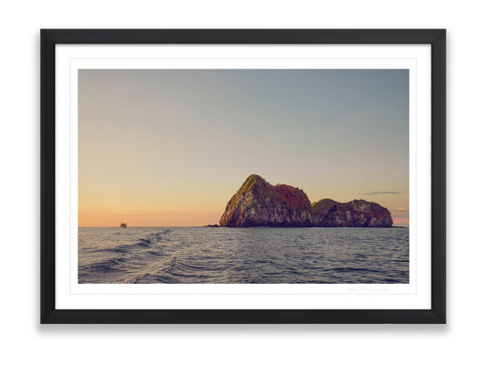 36x24SIZE_1.5MATTE_1.5FRAME_DSC2023_GustavNel_ShipsIsland_DougFir_CostaRica2023