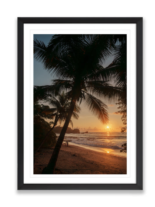 36x24SIZE_1.5MATTE_1.5FRAME_DSC2536_GustavNel_LunaSunset_DougFir_CostaRica2023