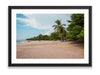 36x24SIZE_1.5MATTE_1.5FRAME_DSC259_GustavNel_LunaBeach_DougFir_CostaRica2023