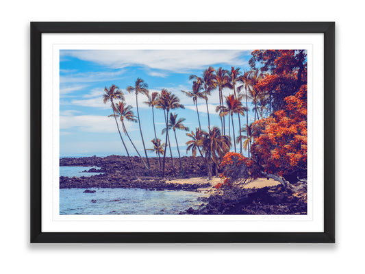 36x24SIZE_1.5MATTE_1.5FRAME_DSC7588_GustavNel_Makolea_DougFirOptima_BigIslandHawaii2024