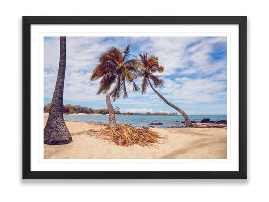 36x24SIZE_1.5MATTE_1.5FRAME_DSC7645_GustavNel_LeaningPalms_DougFirOptima_BigIslandHawaii2024