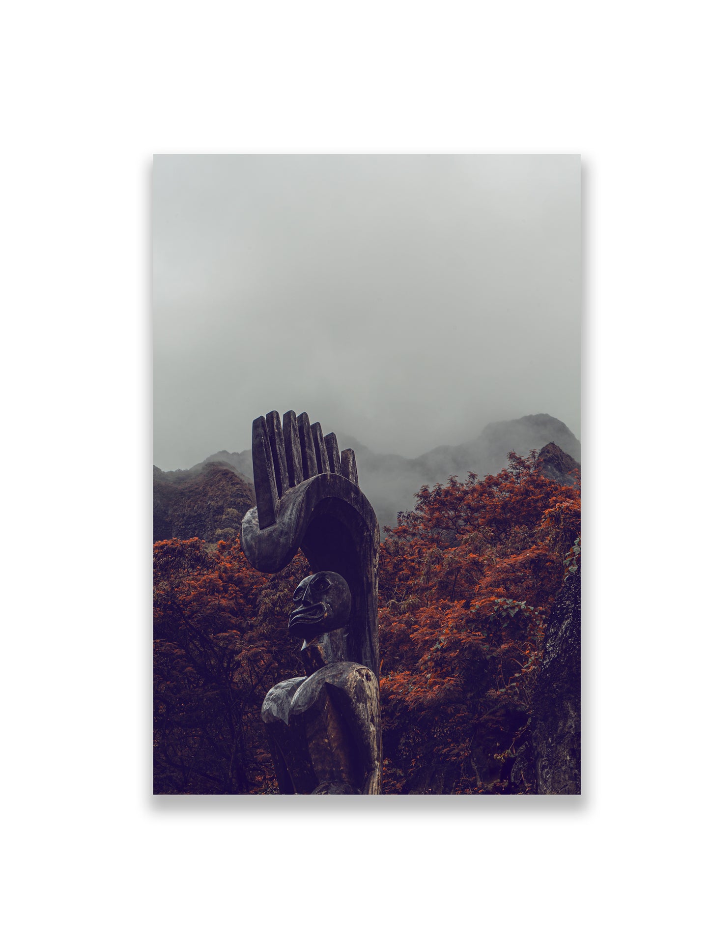 36x24SIZE_1.5MATTE_NOFRAME_1_DSC04014_GustavNel_Lono_DougFir_Hawaii2017Oahu_a5cc8cd5-eaee-4b1a-8416-9a6b55546fb7