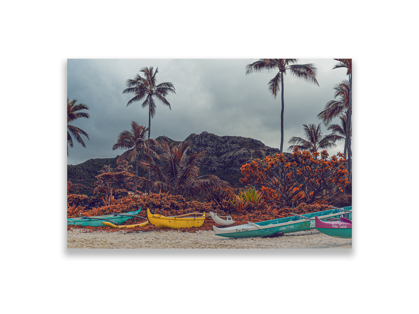 36x24SIZE_1.5MATTE_NOFRAME_7_DSC03843_GustavNel_FourWa_a_DougFir_Hawaii2017Oahu