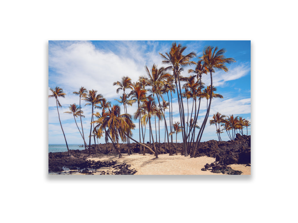 Council of Palms — Founders Series, 24 × 36 in