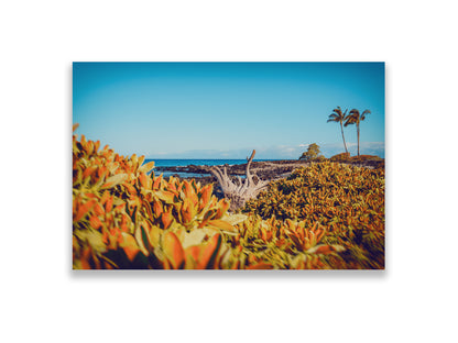 “CROWNED PALMS” - RARE COLLECTOR’S EDITION, 1 OF 10