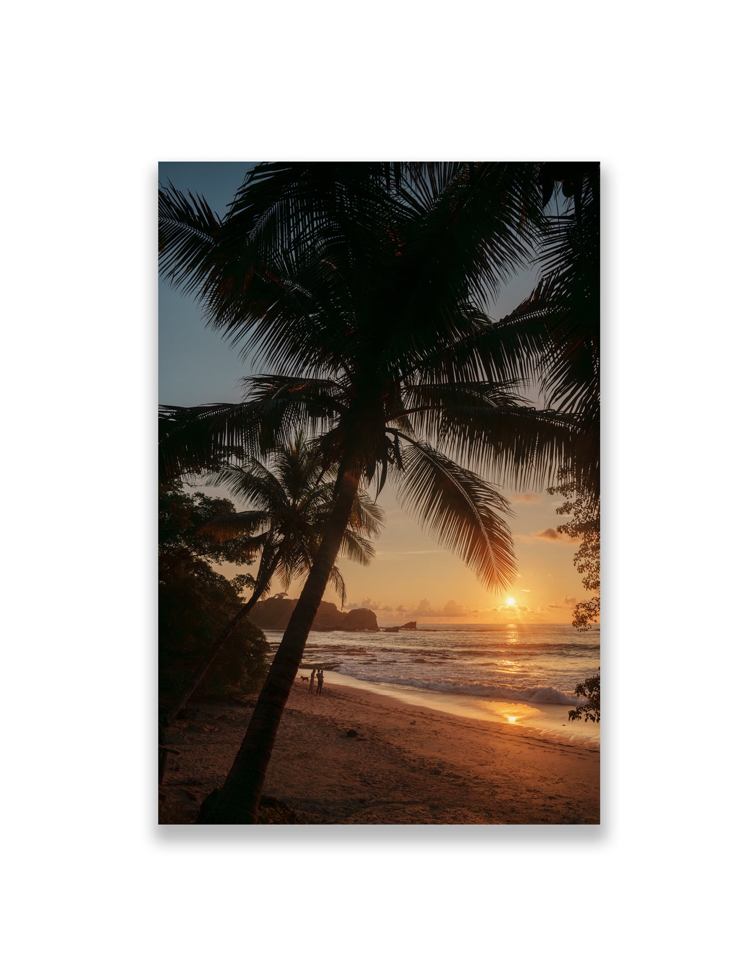 36x24SIZE_1.5MATTE_NOFRAME_DSC2536_GustavNel_LunaSunset_DougFir_CostaRica2023