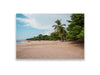 36x24SIZE_1.5MATTE_NOFRAME_DSC259_GustavNel_LunaBeach_DougFir_CostaRica2023