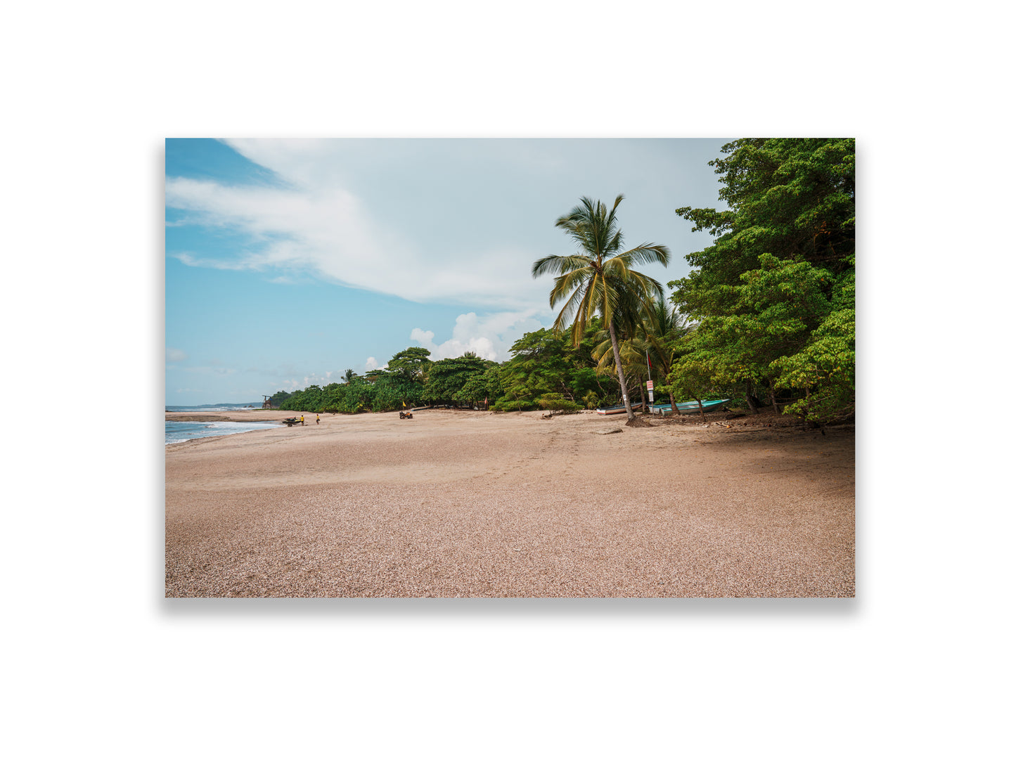 36x24SIZE_1.5MATTE_NOFRAME_DSC259_GustavNel_LunaBeach_DougFir_CostaRica2023