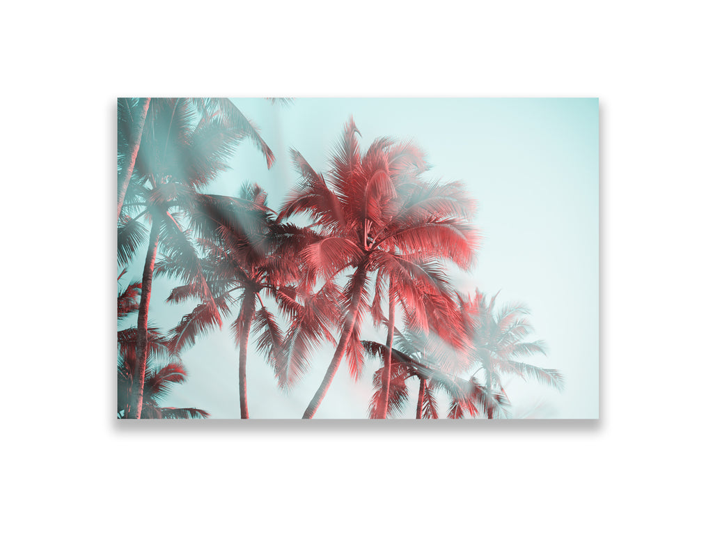 Palm Reverie — Founders Series, 24 × 36 in