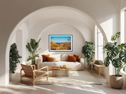 “CROWNED PALMS” - RARE COLLECTOR’S EDITION, 1 OF 10