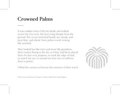 “CROWNED PALMS” - RARE COLLECTOR’S EDITION, 1 OF 10