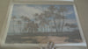 Council of Palms — Founders Series, 24 × 36 in
