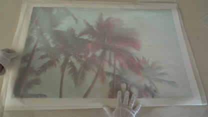 Palm Reverie — Founders Series, 24 × 36 in